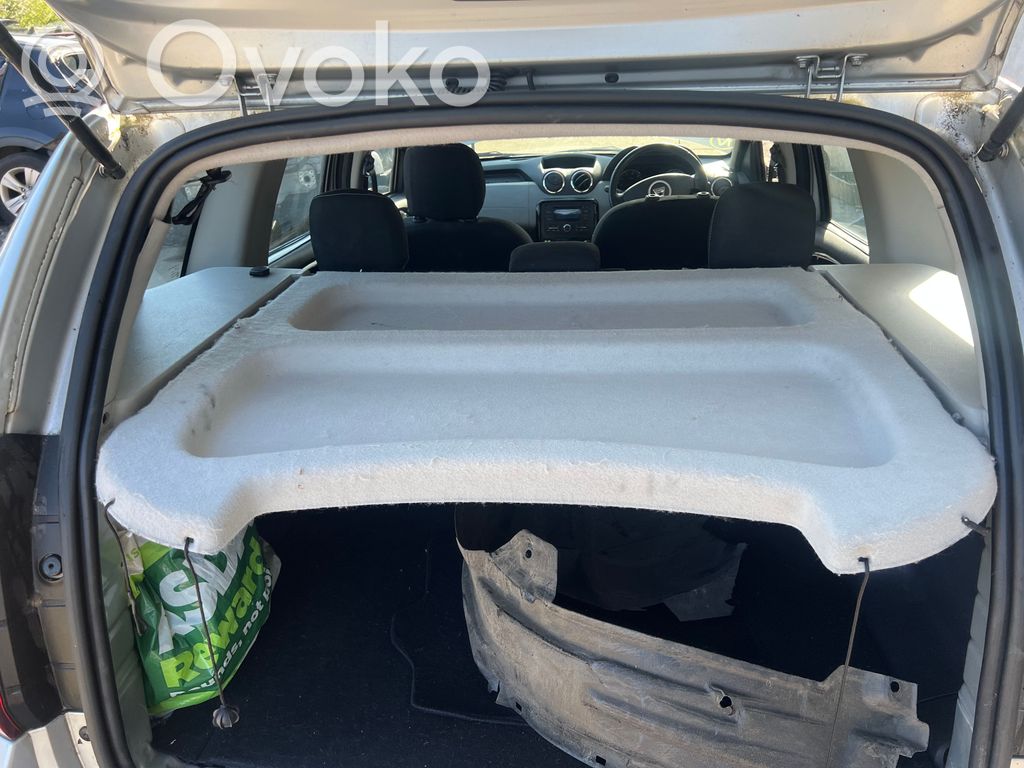 Dacia Duster Hattuhylly 