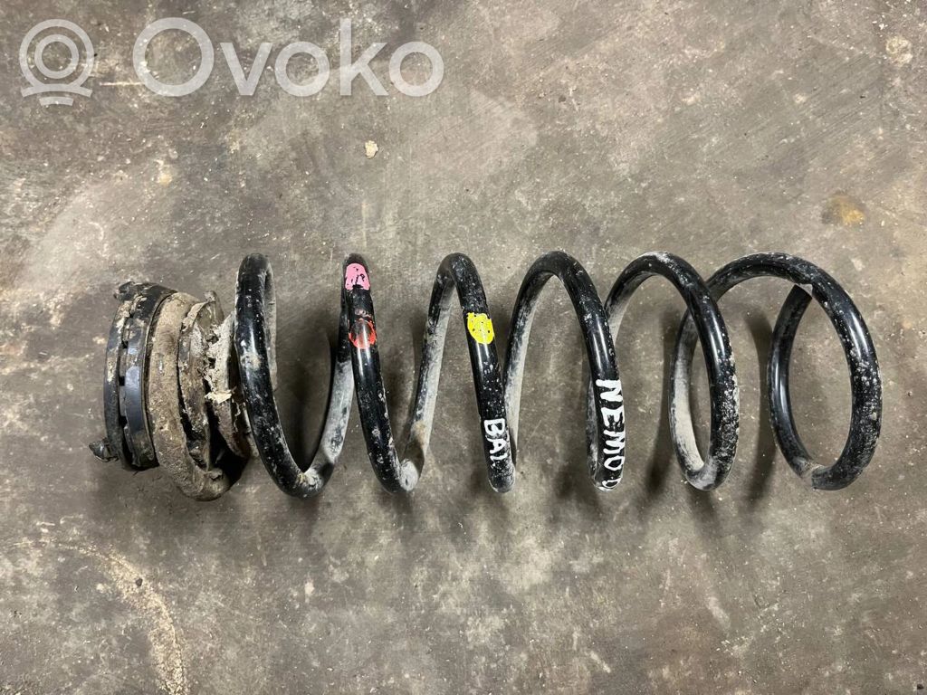 Rear coil spring