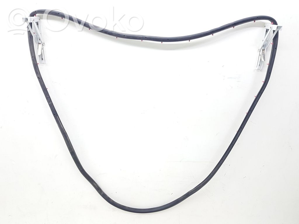 Ford Edge II Rubber seal rear door 