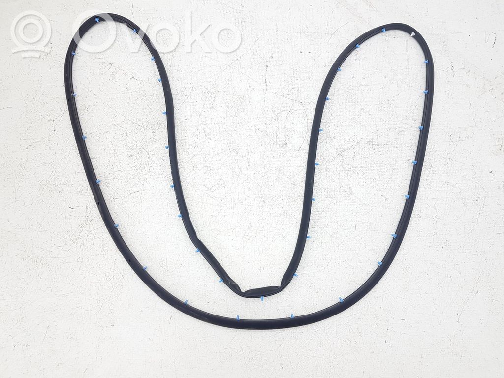Ford Edge II Rubber seal front door (on door) 