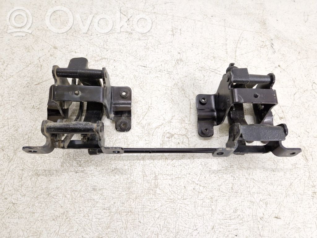 Ford F150 Rear door hinge set 