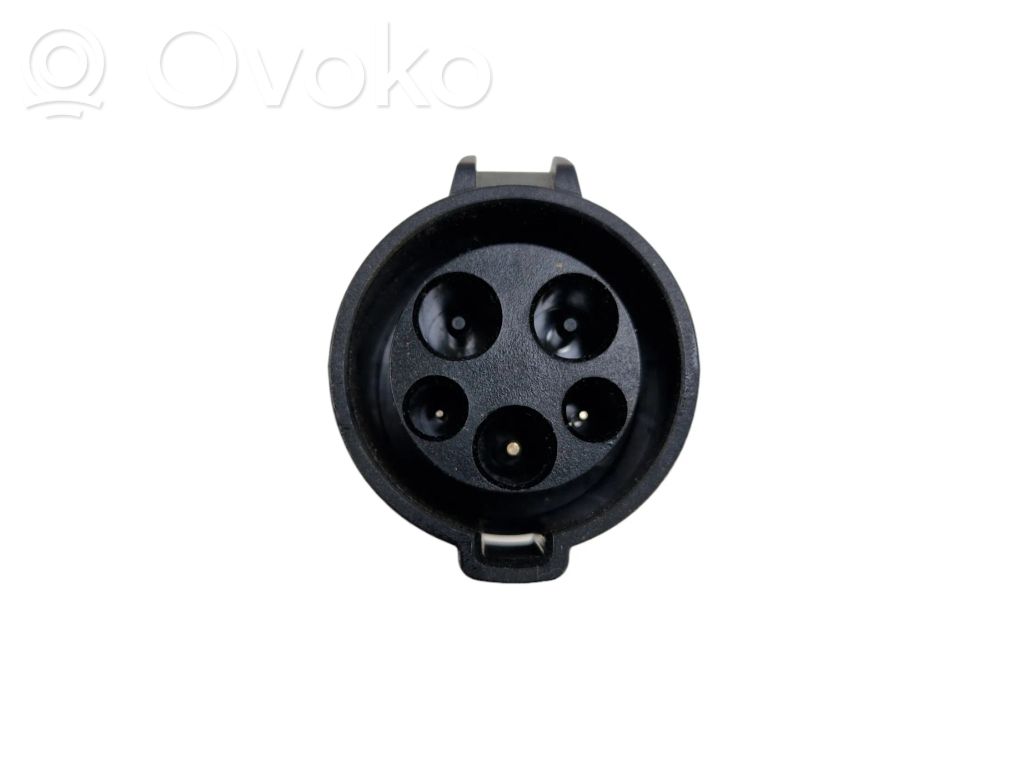 Tesla Model 3 Elektromobilio įkrovimo lizdas 