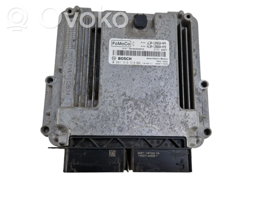 Ford F150 Engine control unit/module 