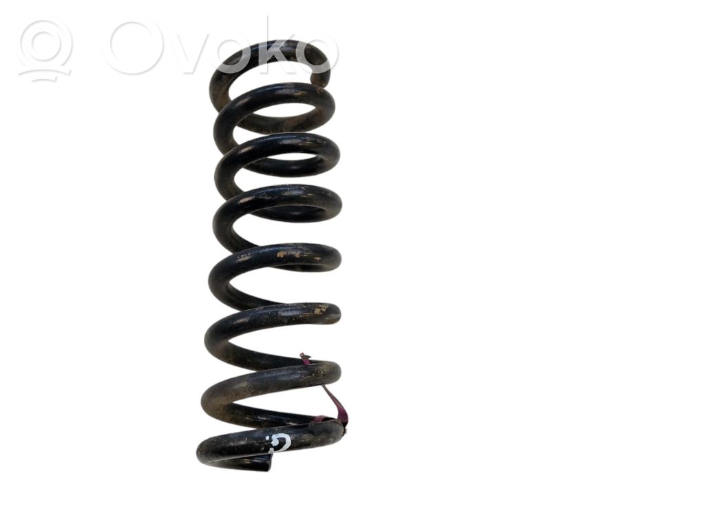 Dodge Charger Rear coil spring 
