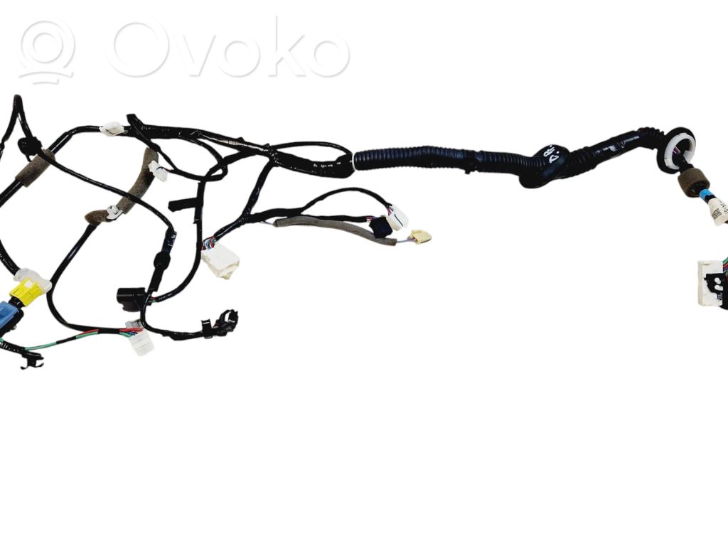 Subaru Outback (BT) Cablaggio porta anteriore 