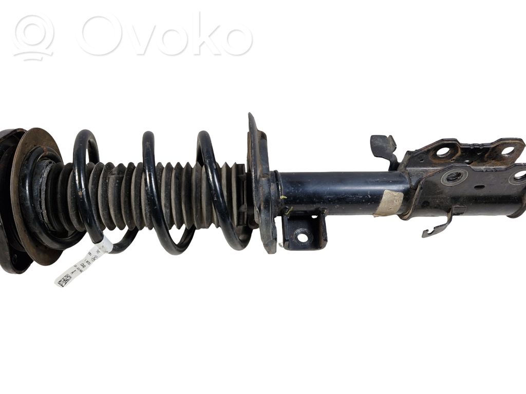Ford Escape IV Front shock absorber with coil spring 