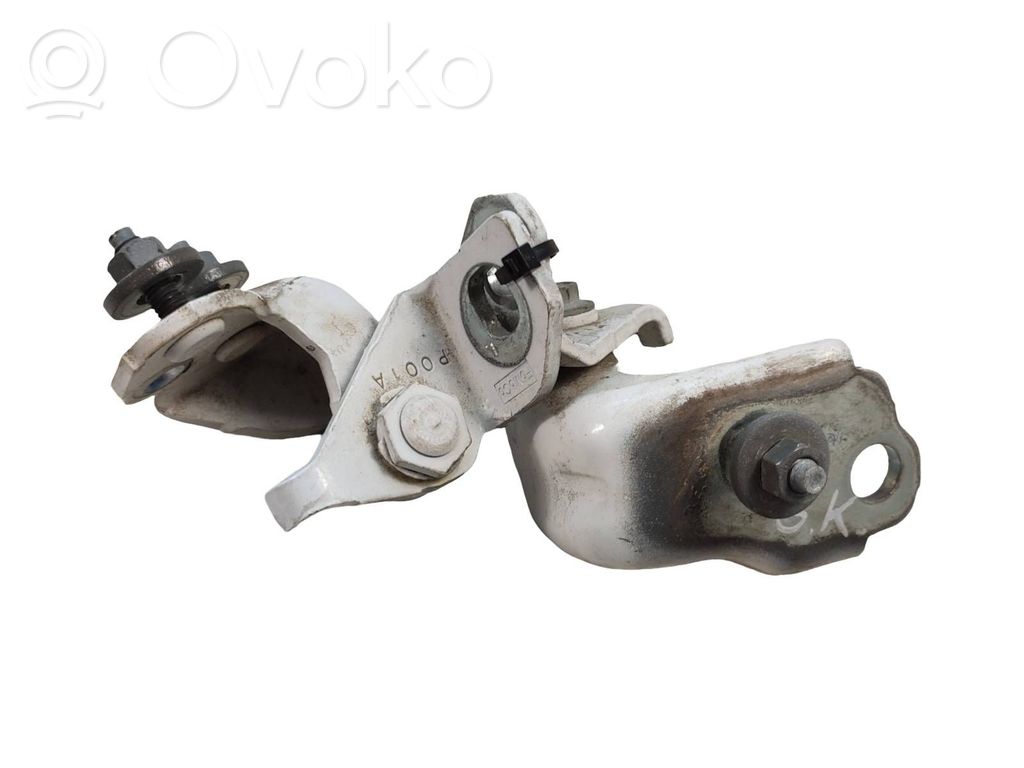 Ford Fusion II Zawiasy drzwi tylnych / Komplet 