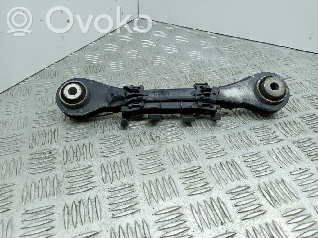 Galinė šakė   6792543