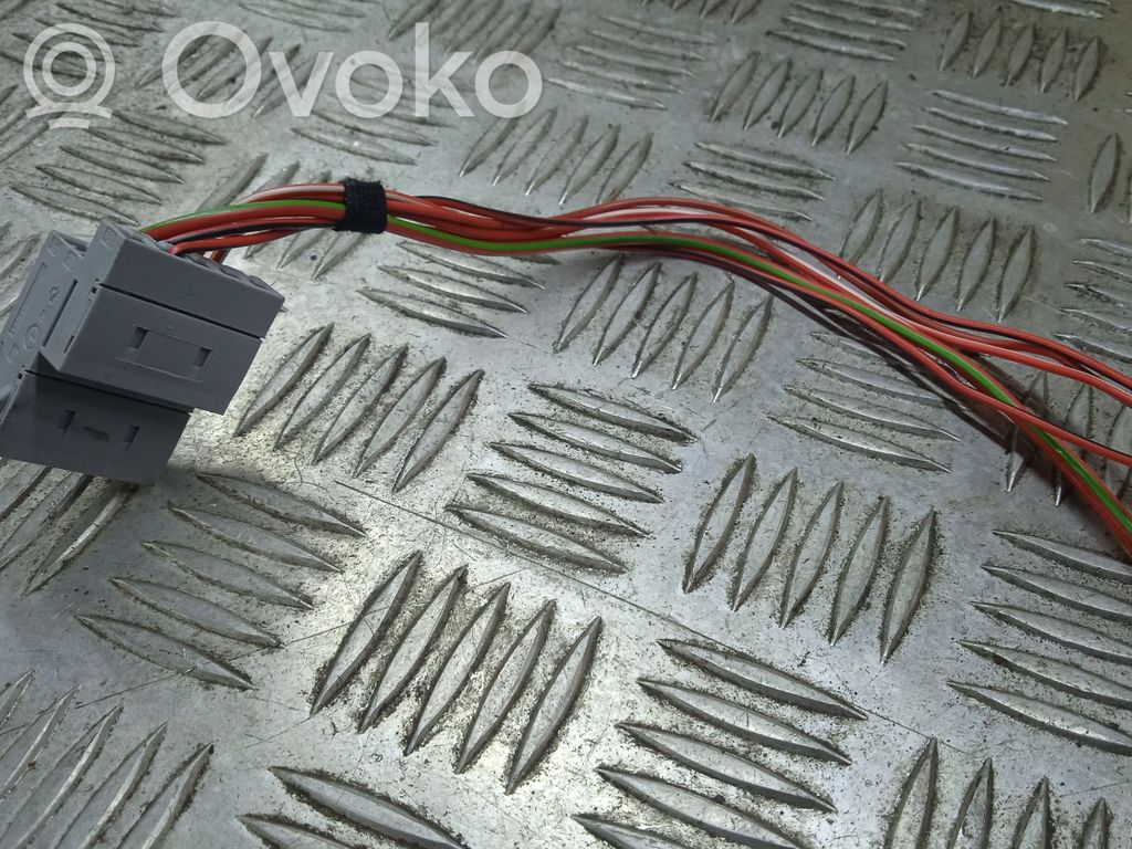 BMW Z4 E89 Otros cableados 