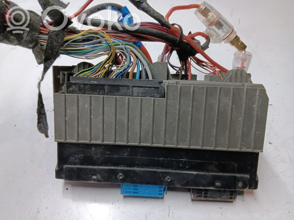 Fuse module   518966010