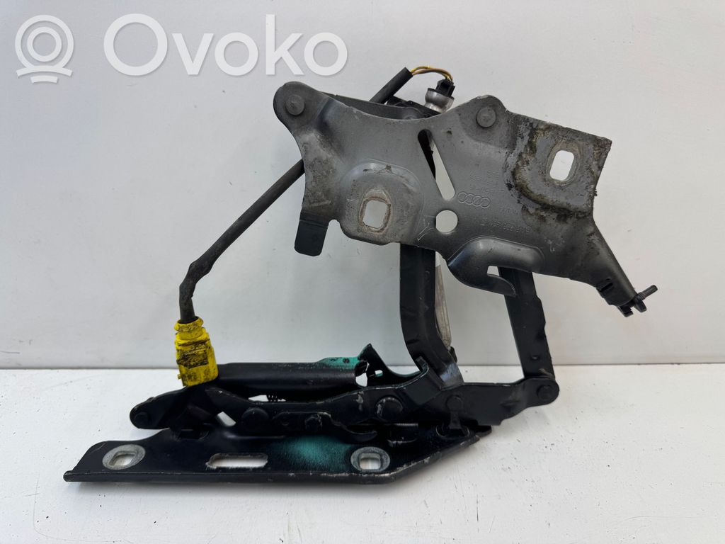 Audi S5 F5 Scharnier Motorhaube 