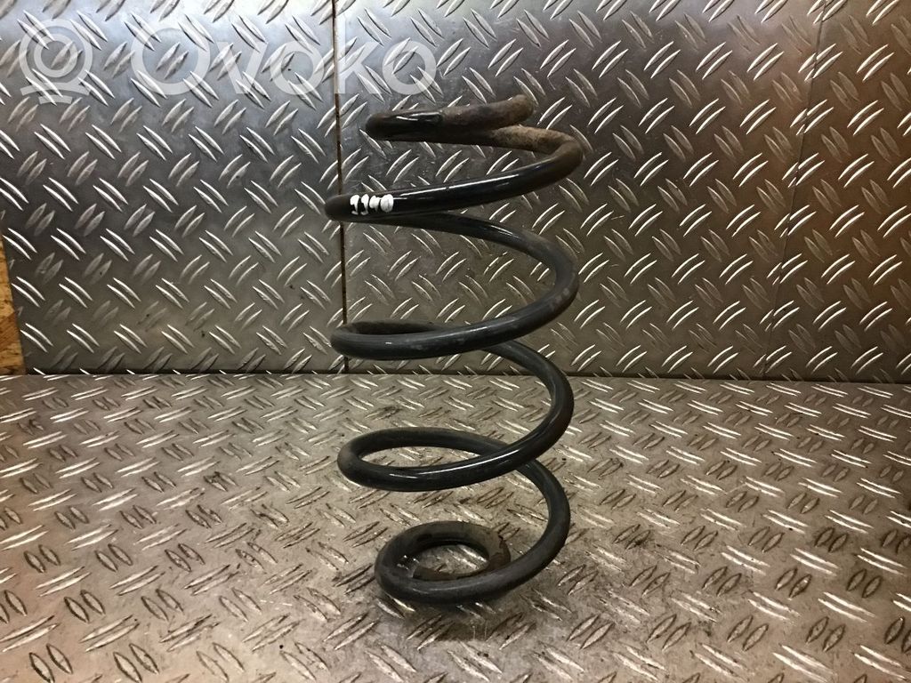 Rear coil spring