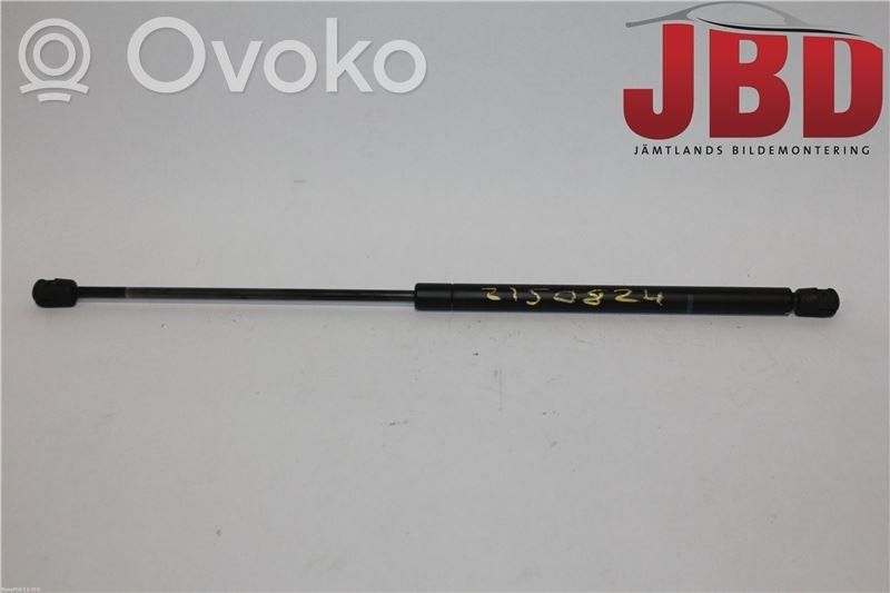 Tailgate strut   1146649