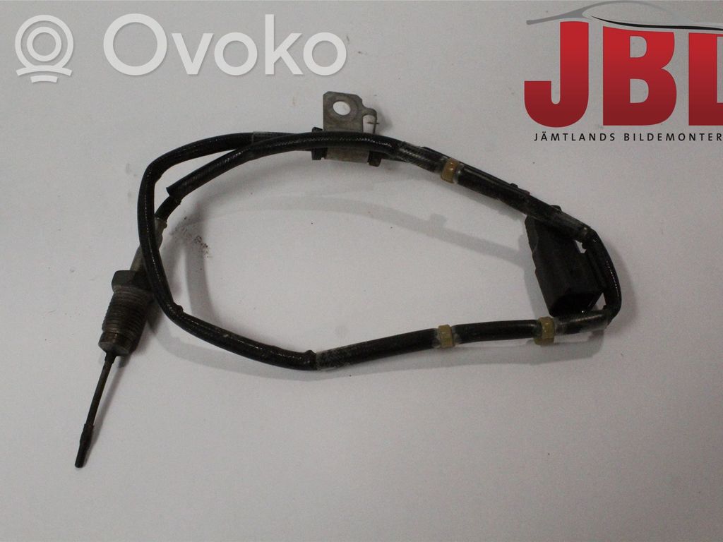 Abgastemperatursensor   SH02187G0