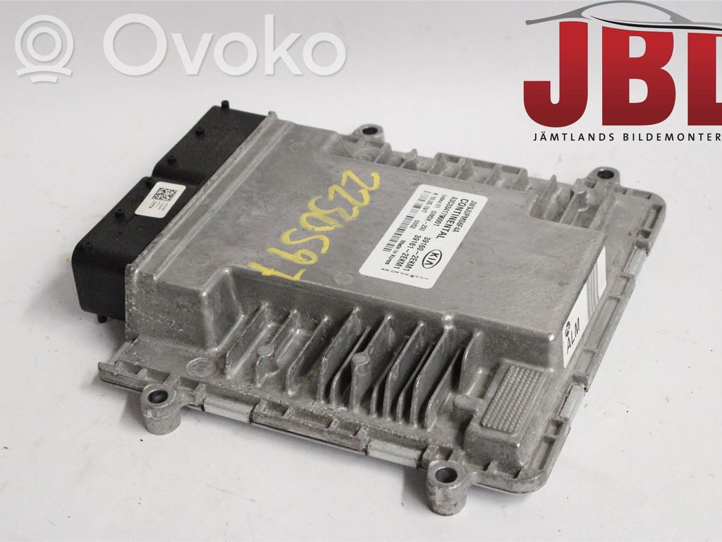 Unidad de control/módulo de la inyección   391612EKM1