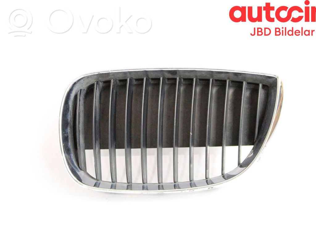 Front bumper lower grill   51137127227