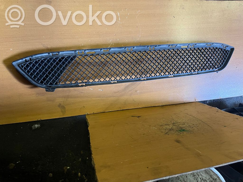 BMW X1 E84 Front grill 