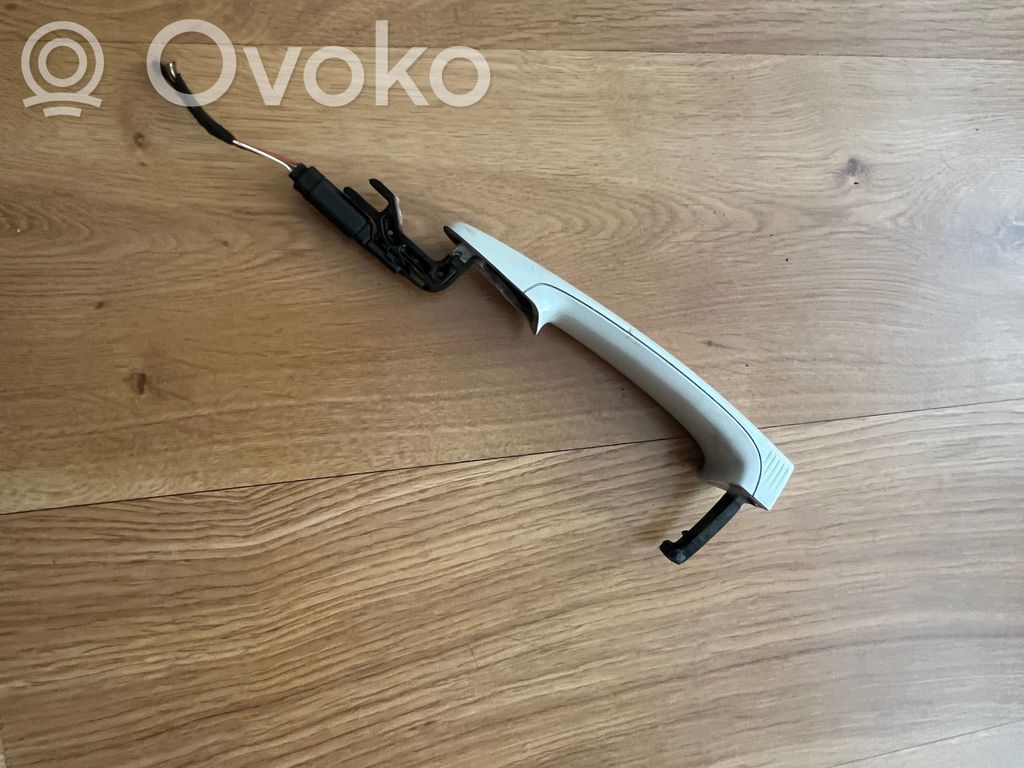 BMW X1 E84 Manecilla externa puerta delantera 