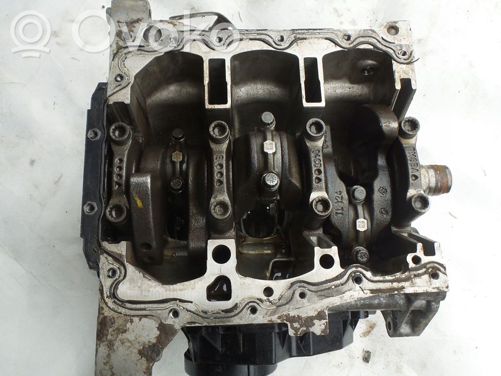 Volkswagen Polo V 6R Engine block 