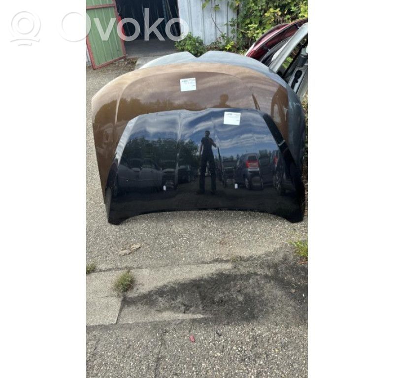Engine bonnet/hood   2100964