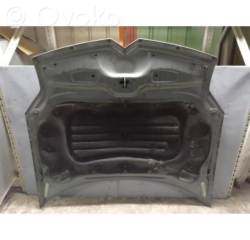 Engine bonnet/hood   790143