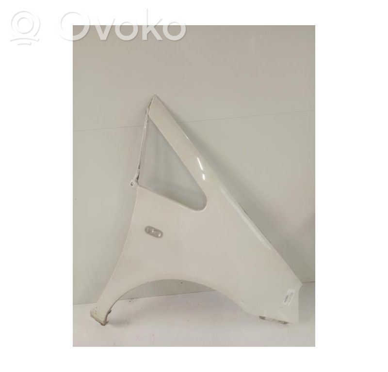 Ford Galaxy Sparnas 