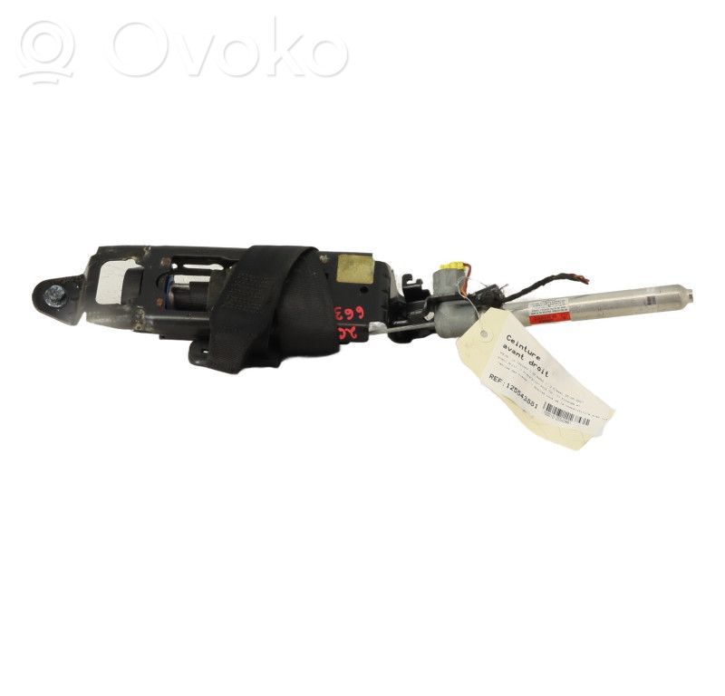 Cinturón delantero   31320501