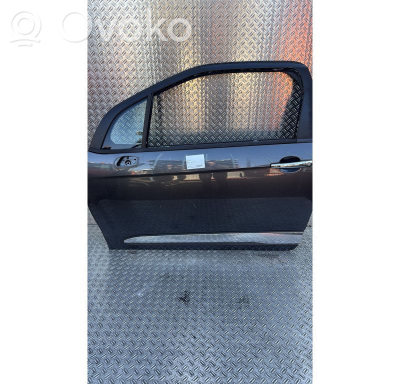 Puerta delantera   9800008280