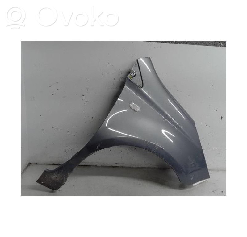 Parafango   F31129U0MA