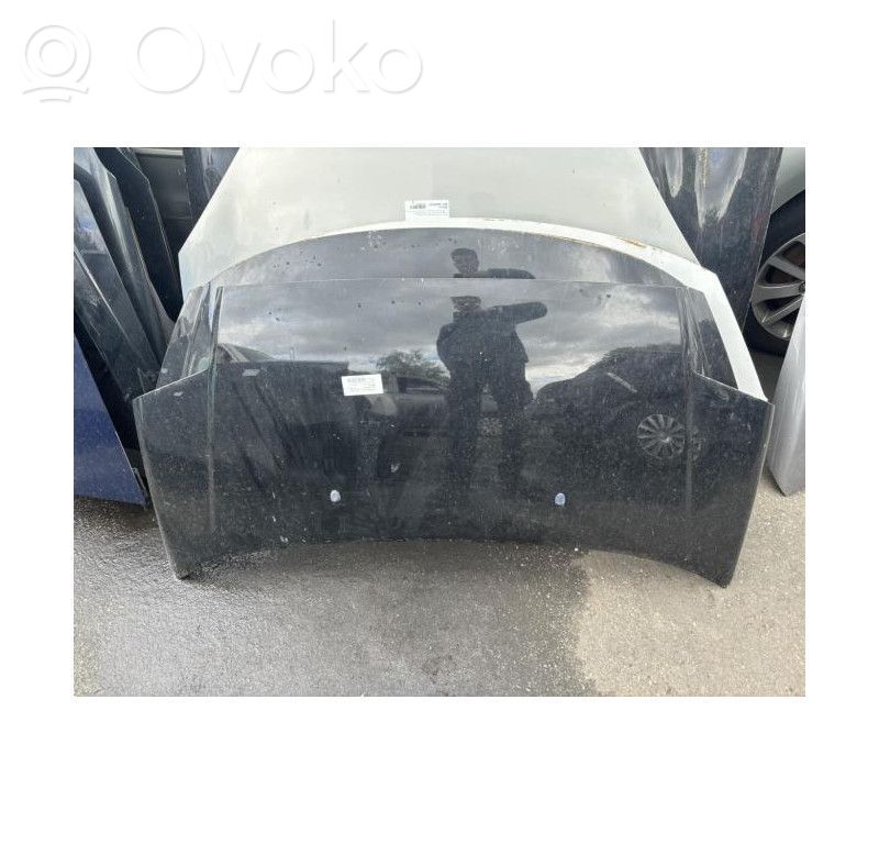 Capó/tapa del motor   7901K2