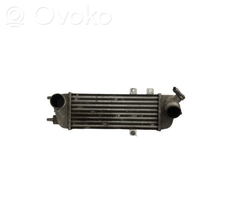 Radiador intercooler   282702A610