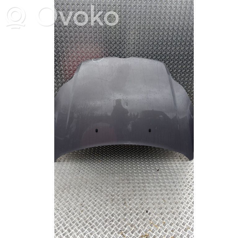 Motorhaube   1797477