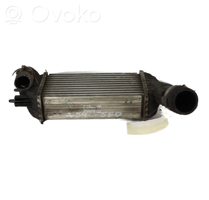 Interkūlerio radiatorius   00000384P8