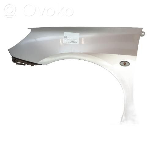 Peugeot 307 Fender 