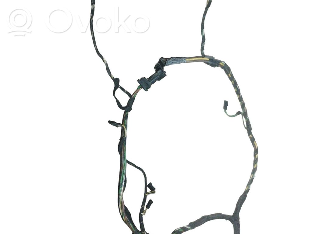 Other wiring loom   6910085
