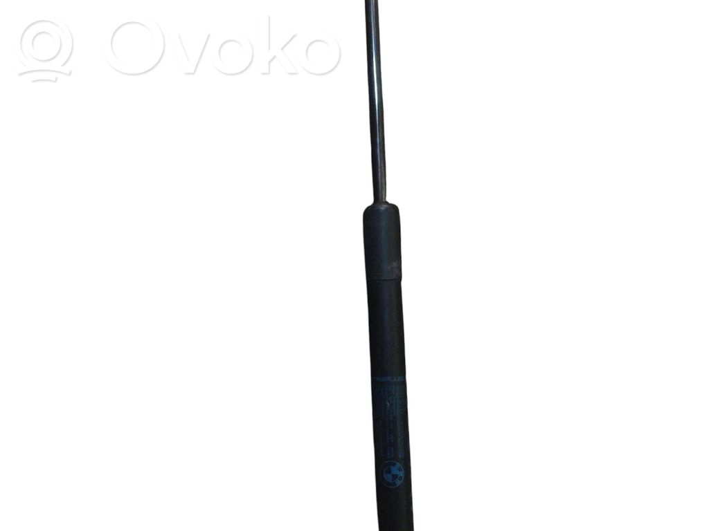 Dzinēja pārsega amortizators   7060550