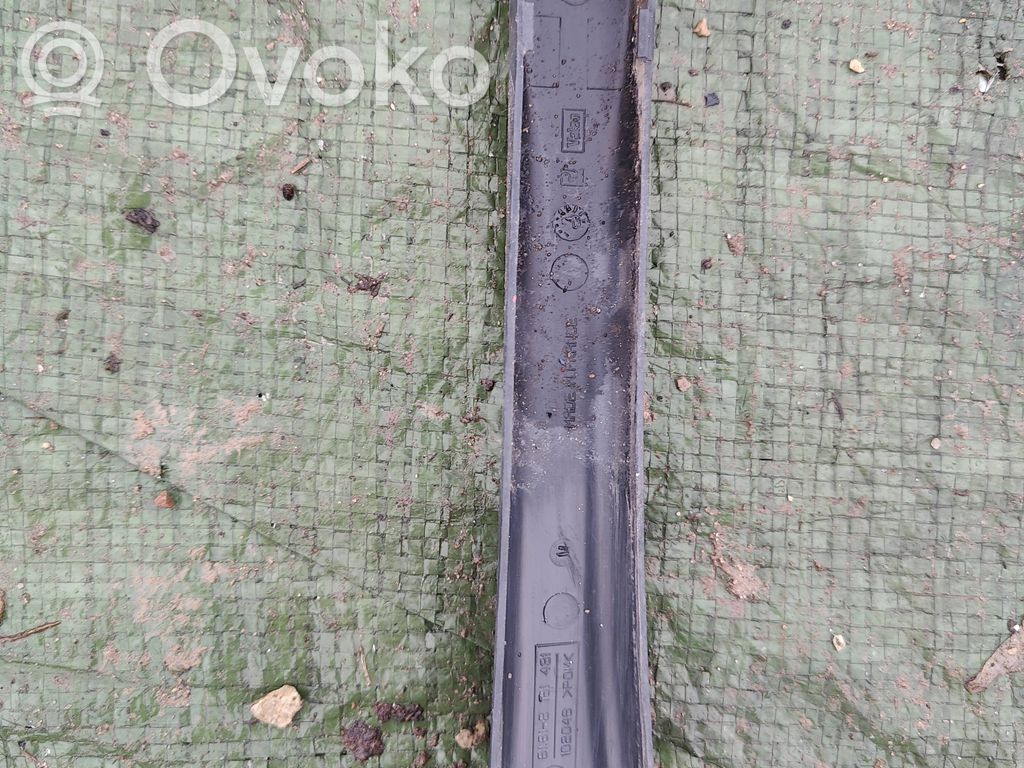 Wiper trim   61618161491