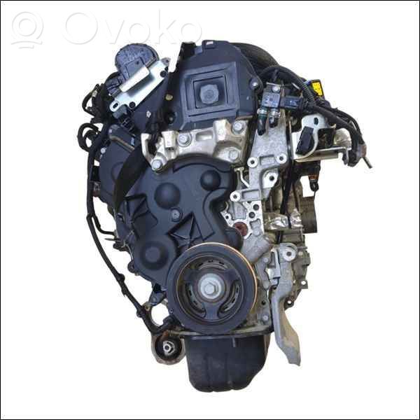 Variklis   135RP,135RP,20233777,6951815,VDMS10