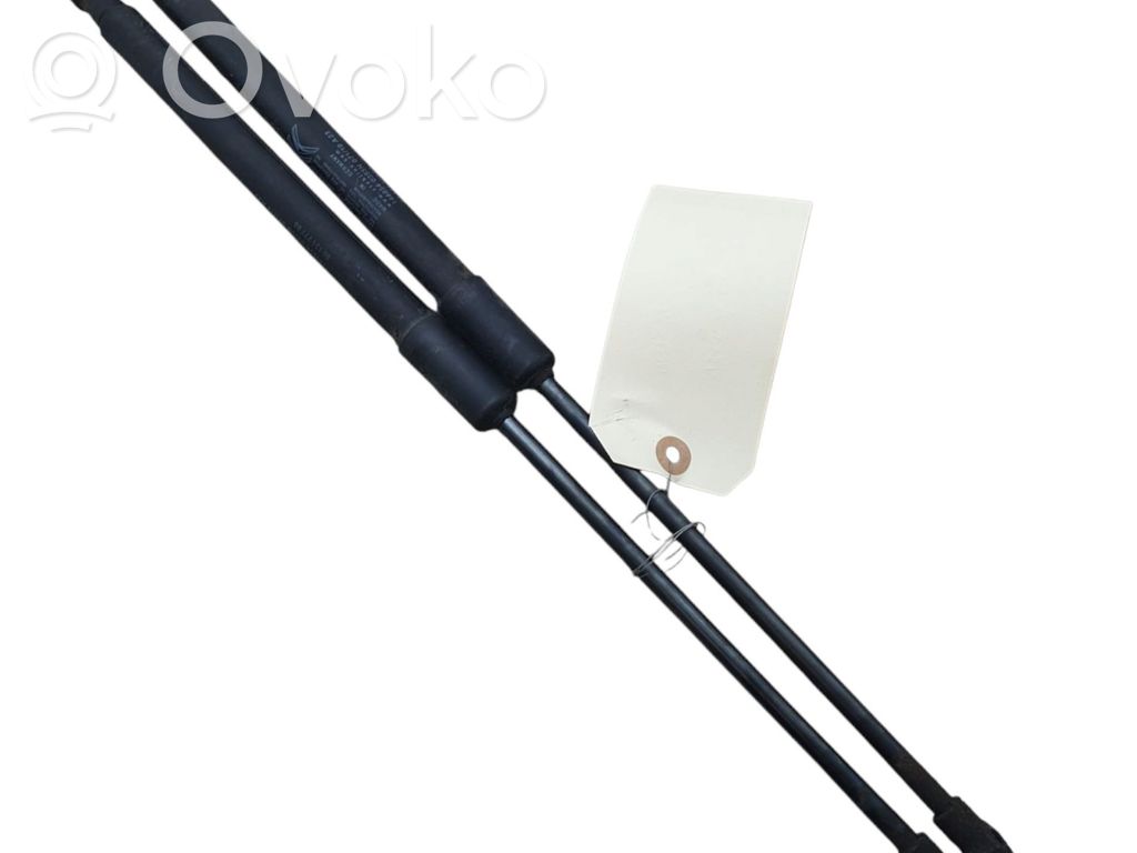 Citroen C3 Amortiguador/puntal del maletero/compartimento de carga 