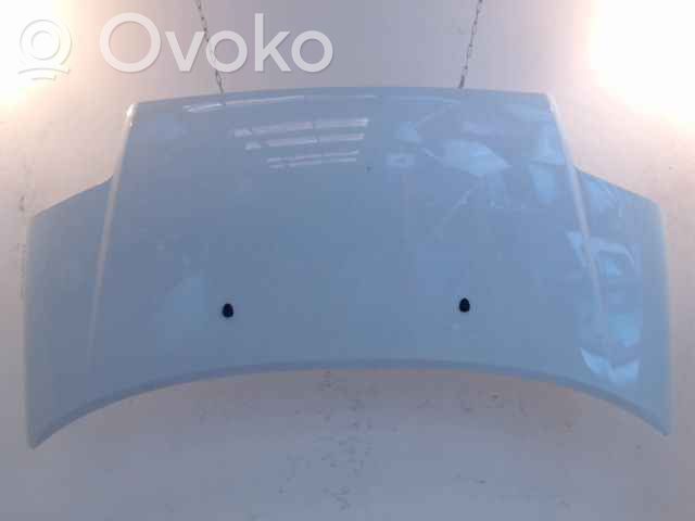 Motorhaube   7901Q3,7901Q3,20210093,6942543,VDMS10