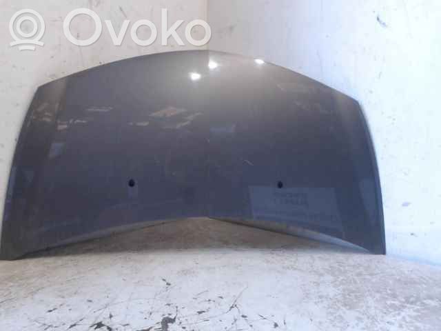 Renault Clio III Engine bonnet/hood 