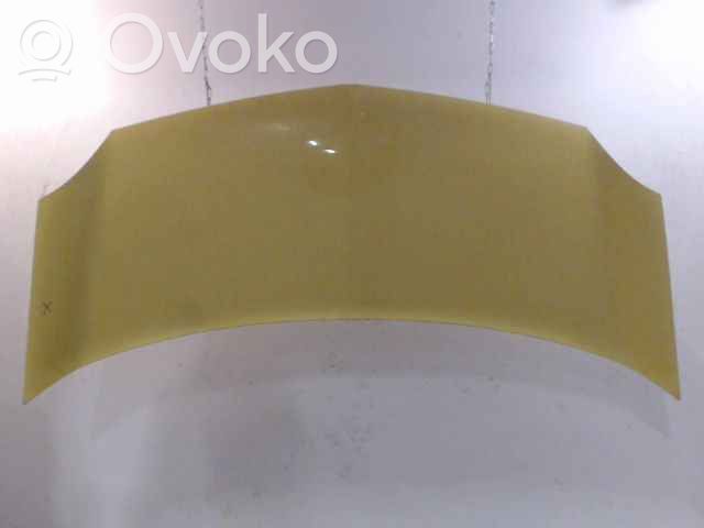 Renault Kangoo II Engine bonnet/hood 
