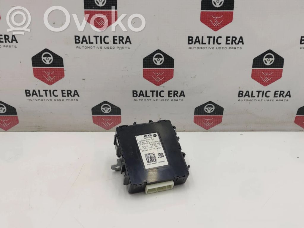 KIA Stinger Other control units/modules 