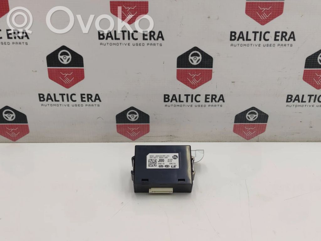 KIA Stinger Other control units/modules 