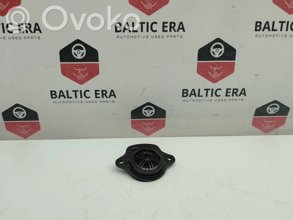 Tesla Model 3 Panel speaker 