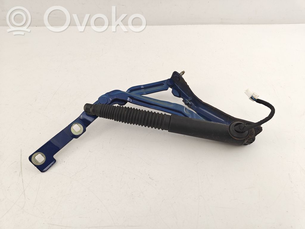Tesla Model 3 Tailgate/trunk/boot hinge 