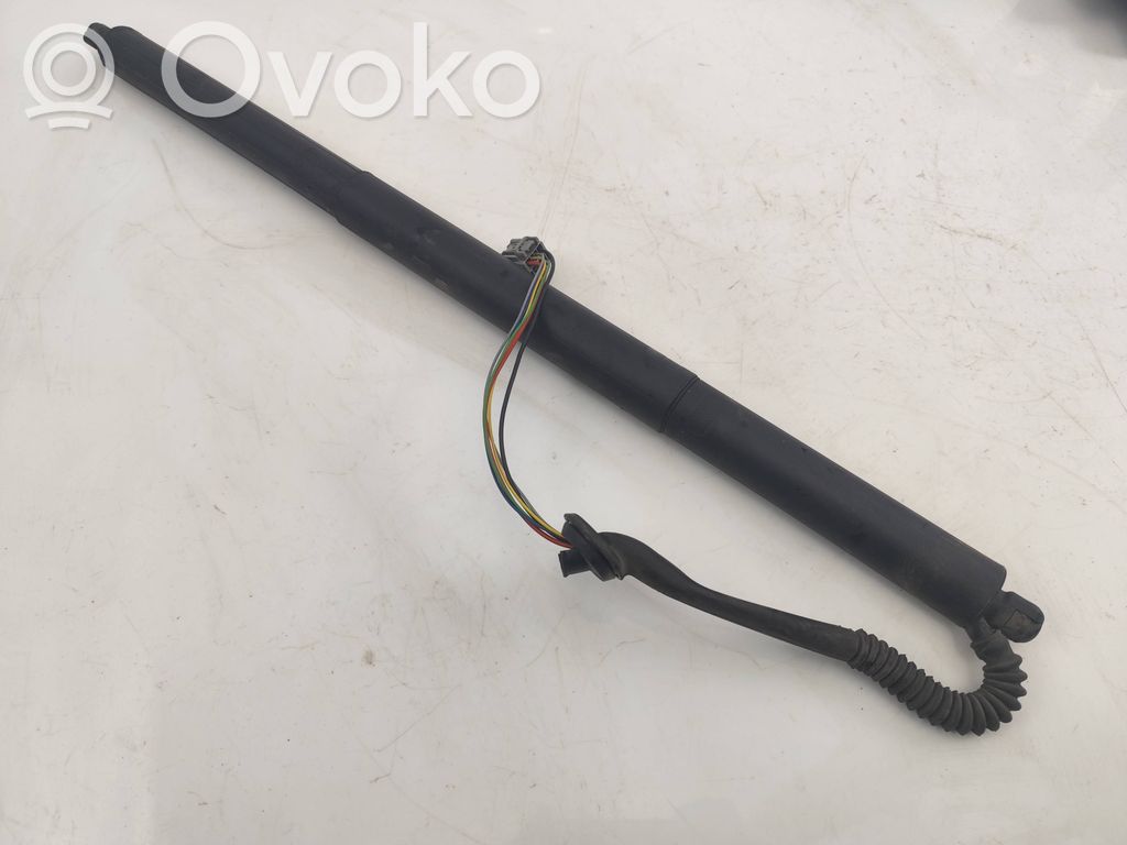 Tesla Model S Tailgate/trunk strut/damper 