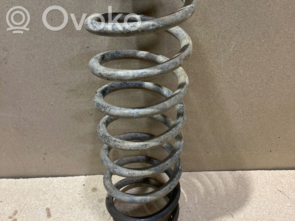 Front coil spring
