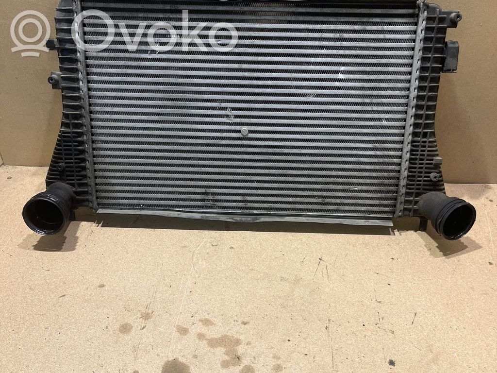 Volkswagen PASSAT B6 Interkūlerio radiatorius 