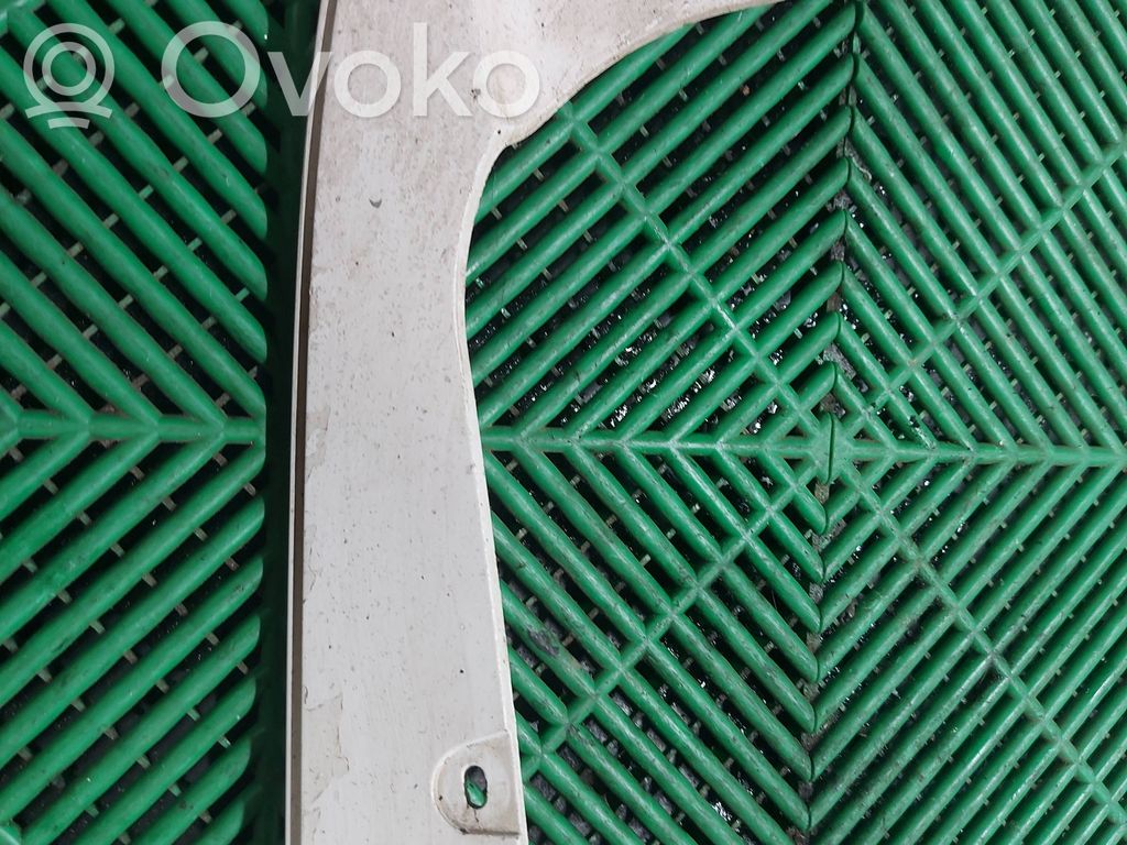 Priekinis purvasargis   8037161,0503410